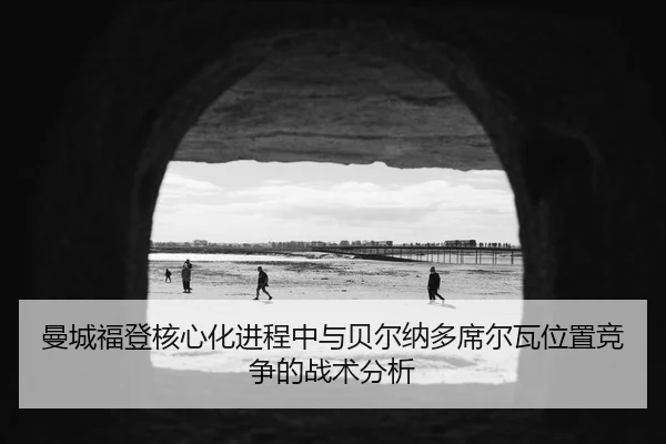 man-cheng-fu-deng-he-xin-hua-jin-cheng-zhong-yu-bei-er-na-duo-xi-er-wa-wei-zhi-jing-zheng-de-zhan-shu-fen-xi-2-426.jpg