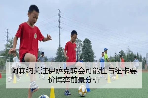 阿森纳关注伊萨克转会可能性与纽卡要价博弈前景分析