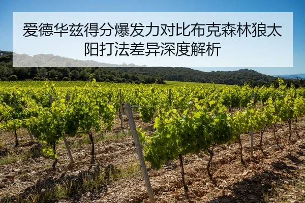 爱德华兹得分爆发力对比布克森林狼太阳打法差异深度解析